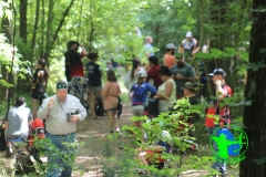 IMG_9739_1