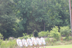 IMG_7919