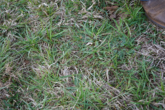 DSC02865