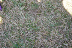 DSC02984