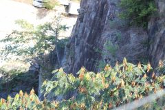 IMG_8881